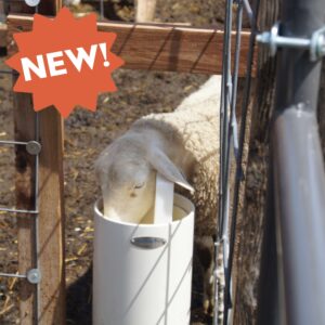 Sheep / Goat Automatic Waterer